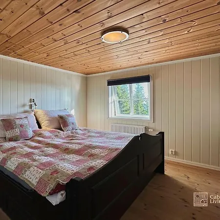 Luxury With Hot Tub, In-out, Fireplace & Wifi Villa Sjusjøen