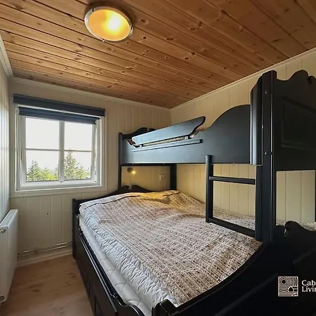 Luxury With Hot Tub, In-out, Fireplace & Wifi * Sjusjøen