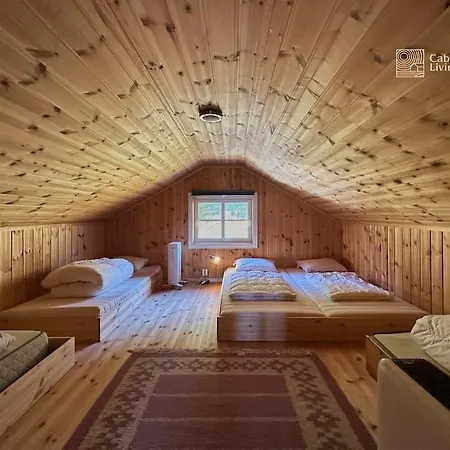 Villa Sjusjoen, Luxury With Hot Tub, Ski-in Out