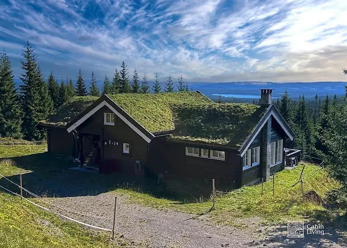 Luxury With Hot Tub, In-out, Fireplace & Wifi * Sjusjøen